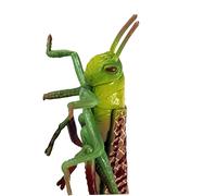 FONDOTIN Realistic Plastic Locust Model Cognitive for Educational Play Animal Figure Smooth Safe Surface Biology Learning Decor