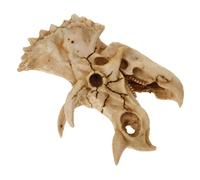 FONDOTIN Realistic Resin Dinosaur Skull Aquarium Decor Reptile Hideout Cave for Fish Tanks and Vivariums Abrasion-resistant Landscape Ornament Suitable for Lizards Turtles Geckos Snakes and