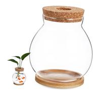 FONDOTIN Small Fish Tank for Betta with Glass Lid and Bamboo Cushion Terrarium Jar