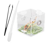 FONDOTIN Spider Breeding Box Set for Reptiles and Insects, Medium Pet Terrarium Branch Design, 3pcs Reptile Container for Florida Jumping Spiders and Small Exotic Pets Random Style