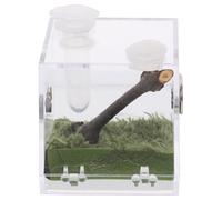 FONDOTIN Transparent Acrylic Spider Enclosure Box Habitat Cage for Insects Feeding and Climbing Pets with Ventilation Viewing Case for Jumping Spiders and Tarantulas