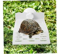 FONDOTIN Turtle Basking Platform with Suction Cups for Reptile Tanks Medium White Plastic Terrace for African Dwarf Frog Aquarium Accessories Decorative Floating Ramp for Turtle Rest and