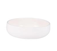 FONDOTIN Turtle Feeding Bowl Ceramic Reptile Bowl No Harm to Pets Suitable for Tortoises Lizards Frogs and Terrapins
