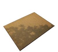 FonHNDG Woven Door Mat Polypropylene Fiber Door Mat Water Absorption Carpets Balcony,Entrance Cleaning The Soles Of Shoes(45x75cm)