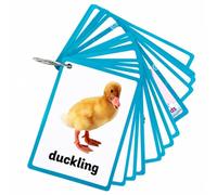 Fonowx 19 Pieces Farm-Animal English Vocabulary Flashcard Learning Flashcard Realistic Flashcards for Preschoolers, Travel