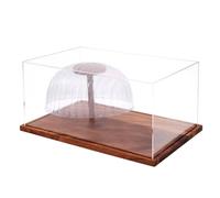 Fonowx Acrylic Display Case Hat Organizer Cap Holder Box With Transparent Cover And Solid Wood Base Built Cap Stand Dust Protection Single Piece Setup Suitable for bedroom office study