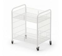 Fonowx Cart Rolling Utility Cart Trolley Organizer Shelf With Metal Frame Two Tier Display Racks With Caster Wheels suitable, White, Small 4-Inch Silent Wear-resistant Wheels