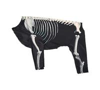 Fonowx Halloween Skeleton Dog Costume, Halloween Pet Costume Apparel for Beauty Contests, 2XL