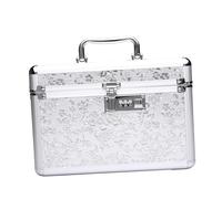 Fonowx Makeup Box Organizer Cosmetic Storage Box Portable Makeup Bag with Mirror for Travel, M Argent