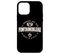 Fontainebleau France Coordinates Napoleon and Fleur de Lis Case for iPhone 12 mini
