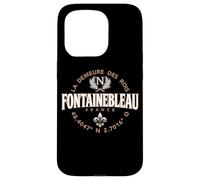 Fontainebleau France Coordinates Napoleon and Fleur de Lis Case for iPhone 15 Pro
