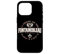 Fontainebleau France Coordinates Napoleon and Fleur de Lis Case for iPhone 16 Pro