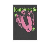 Fontaines D.C. DC Rock Poster 2 Canvas Dorm Room Decor Gift | Unframe-style, Multiple sizes, Multiple frame styles, Wall Art, Decor Print, Office Decor