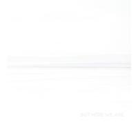 But Here We Are [CASSETTE]