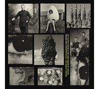 Foo Fighters - Foo Fighters: Making A Fire / Chasing Birds (RSD 2022) [Winyl]