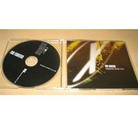 Foo Fighters - FOO FIGHTERS - walking after you - cds L@@K