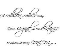 Foo Fighters Music Lyrics Rock Dave Grohl Wall Art Vinyl Sticker Home DIY (Black, 80x50CM)