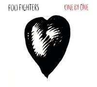 Foo Fighters One By One 2LP in Black Foo Fighters Black