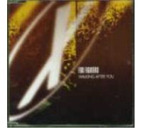 Foo Fighters Walking After You (CD) (US IMPORT)