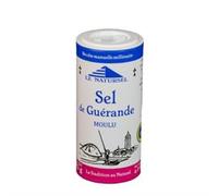 Food Alive Organic Celtic Sea Salt Fine Shaker 125g