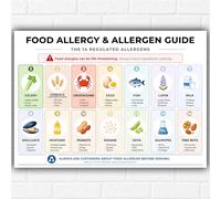 Food Allergy & Allergen Guide Poster A3 - UK 14 Regulated Allergens Safety Wall Chart - Kitchen Restaurant Café Food Safety Educational Print