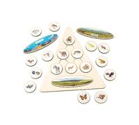 Food Chain Demonstration Matching Puzzle Learning For Kindergarten Cognition Toy