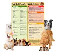 Food Decorative Guide, Meal Routine Raw Cooked Fruits,Washable Kitchen Apartment Home Organizer,Strong Safe Room House Planner Reliable,Reliable Accessory for Daily Pet Care