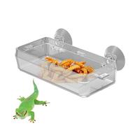 Food for Food for Reptiles for Food for Reptile Food, Anti-shaken Food Dish, Gecki Nativity, Anti Bowl for Mealworms, Durable Power Pool for