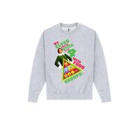 Food Groups Sweatshirt Elf Grey XXXL