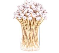 Food Picks for Appetizers - Long Appetizer Picks Baseball Soccer Cupcake Toppers | Food Sandwich Skewers, Holiday Birthday Party Decorations for Snacks