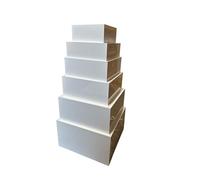 Food Risers,Buffet Risers Acrylic Risers Display stands ,Acrylic Risers 5 different size,cake stand,Dessert display stand. white, black, silver ,gold colour set of 5, set of6 (white 6 pieces)