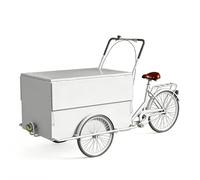 Food Vendor Cart With Parasol, Large Storage Space, Mobile Vending Bicycle, Customizable, For Shopping Malls, Events, Streets(White,Without sunshade)