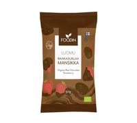 Foodin Organic Raw Chocolate Coated Strawberry 50g - Vegan, No Added Sugar, Gluten-Free, Handcrafted Fruit & Chocolate Snack