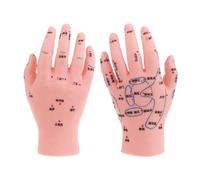 Foot Model Hand Ear Acupoint Massage Zone Teaching Mannequin Tool for Reflexology & Teaching Aid Pressure Points Chart