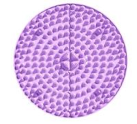 Foot Pressure Point Mat Ergonomic High Elasticity 2X