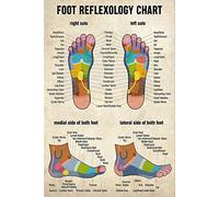 Foot Reflexology Chart Metal Tin Signs Infographic Posters Massage Therapist Guide Plaques Treatment Room Room Club Wall Decor 12x16 Inches