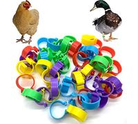 Foot Rings for Poultry, Pack of 100 Poultry Foot Rings in 10 Colours, Practical Marking for Chickens, 18 mm Pigeons and More, Easy to Install and Reusable Poultry Foot Rings Chicken Leg Rings