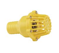 Foot Valve Strainer, 50mm/2""