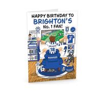 Football Birthday Card for Number 1 Brighton Fan - Lots of Club Inspired Details - Large A5 Card Size - Made in the UK - For Him or Her Supporters