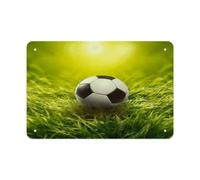 Football on Grass Metal Signs Wall Art Tin Sign