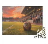 Football Pitches 1000 Piece Jigsaw Puzzles for Adults Festive Gifts Family Challenging Educational Challenge Home Decoration for Adults Gifts Ideas 1000pcs (75x50cm)