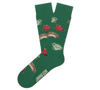 Football Socks Jimmy Lion Frogs Vert 41/46
