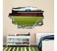 Football Stadium Southampton 3D Wall Sticker Mural Decal Kids Bedroom Deco