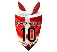 Football Themed Dog Bandana, Adjustable Triangle Dog Neckerchief Scarf for Small Medium Dogs Puppy Cats, Printed Country Name and Number, For Daily Wear & Sports Fan Gift