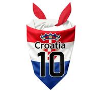 Football Themed Dog Bandana, Adjustable Triangle Dog Neckerchief Scarf for Small Medium Dogs Puppy Cats, Printed Country Name and Number, For Daily Wear & Sports Fan Gift