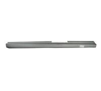 Footboard/Door Pillar BLIC 6505-06-0018015P for AUDI