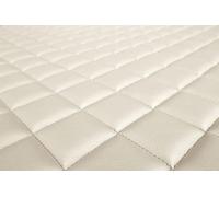 Footwell Tray F-CORE FL15 CHAMP RENAULT TRUCKS MAGNUM 12.13 2004-2006