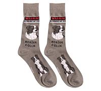 Foozys Mens Crew Socks | Cute Dog Dad Funny Gift for Canine Pet Novelty | 1 Pair, Border Collie, Large