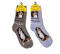 Foozys Unisex Crew Socks | Canine/Dog Collection | Bernese Mountain