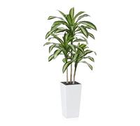 Fopamtri Artificial Dracaena Tree Decorative Plant 180 cm Artificial Plants Indoor, Tropical Fake Plant with White Tall Planter UV Resistant for Outdoor House Office Garden Decoration (1 Pack)